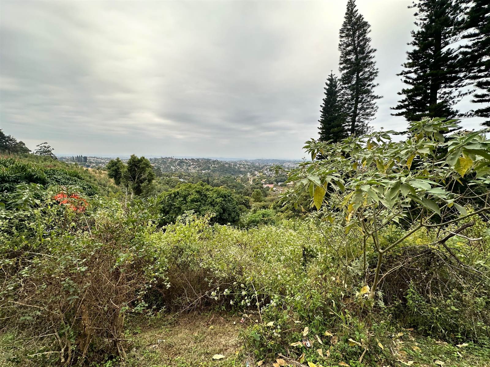 5153 m² Land available in Kloof photo number 5