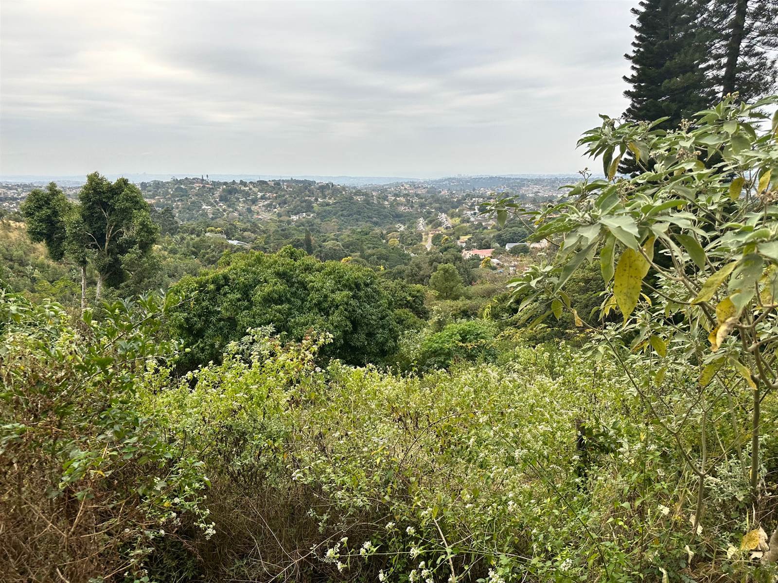 5153 m² Land available in Kloof photo number 4