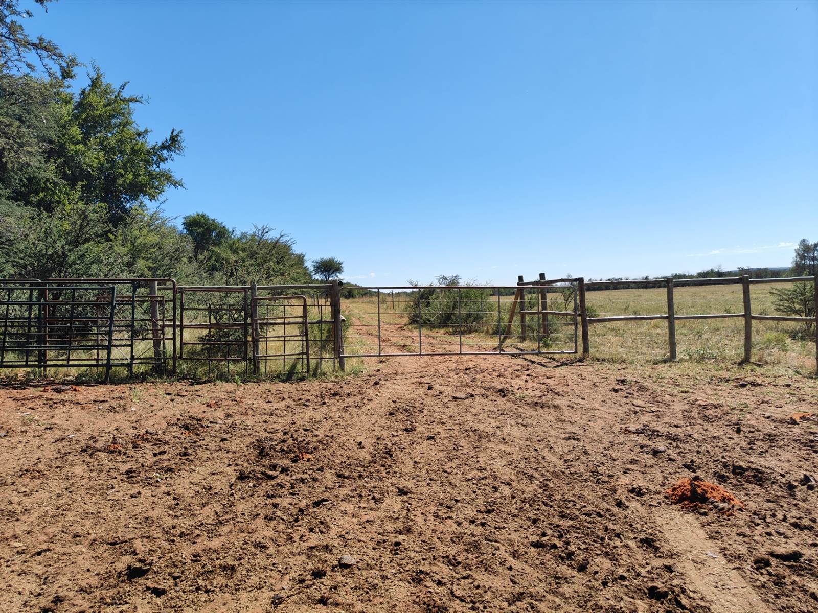 244 ha Farm in Potchefstroom Central photo number 12