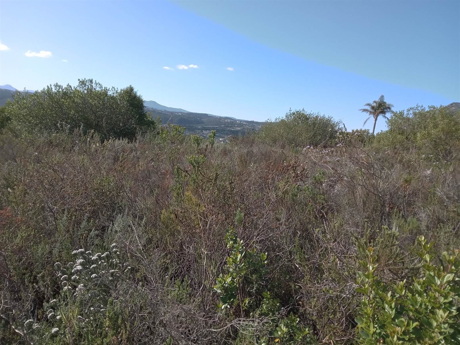 1070 m² Land available in Pezula Golf Estate photo number 6