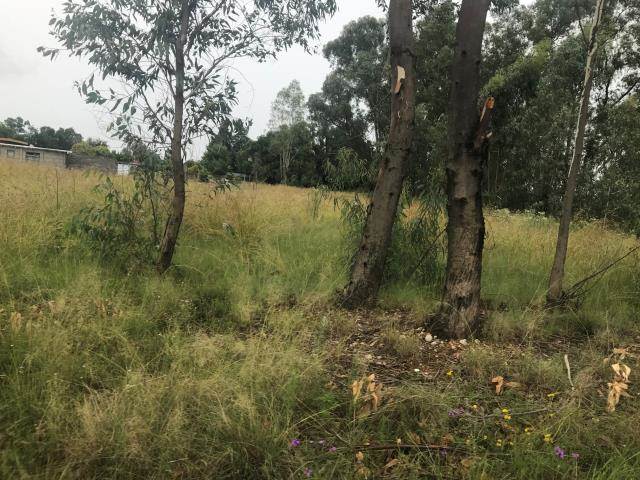 1114 m² Land available in Meyerton South photo number 3