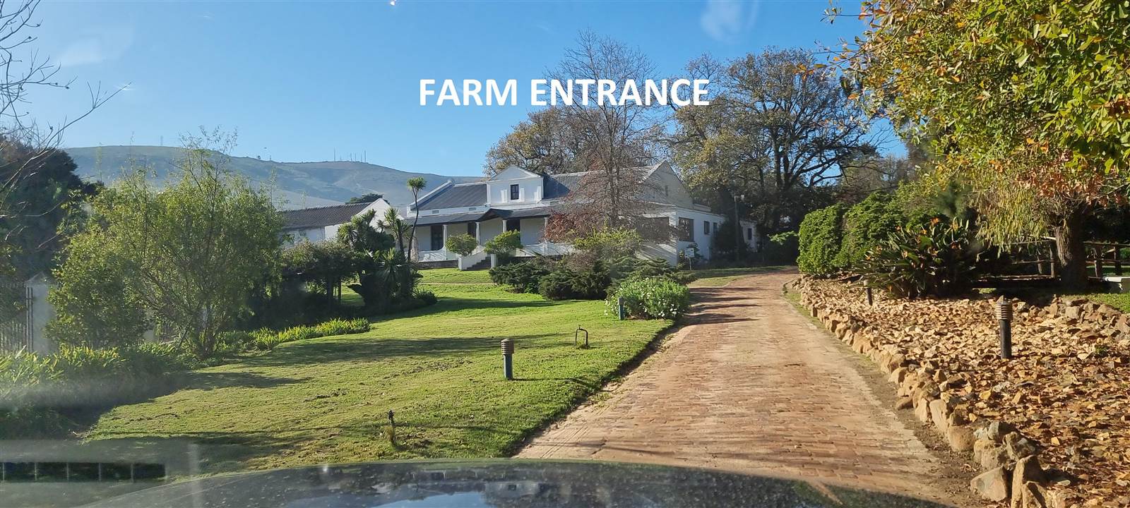 116 ha Farm in Stellenbosch Agricultural photo number 5
