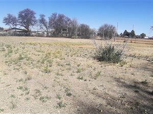 100 m² Land available in Riversdale