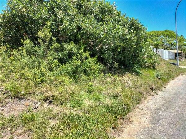 620 m² Land available in Aston Bay photo number 2