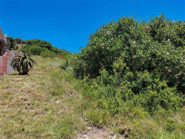 620 m² Land available in Aston Bay photo number 3