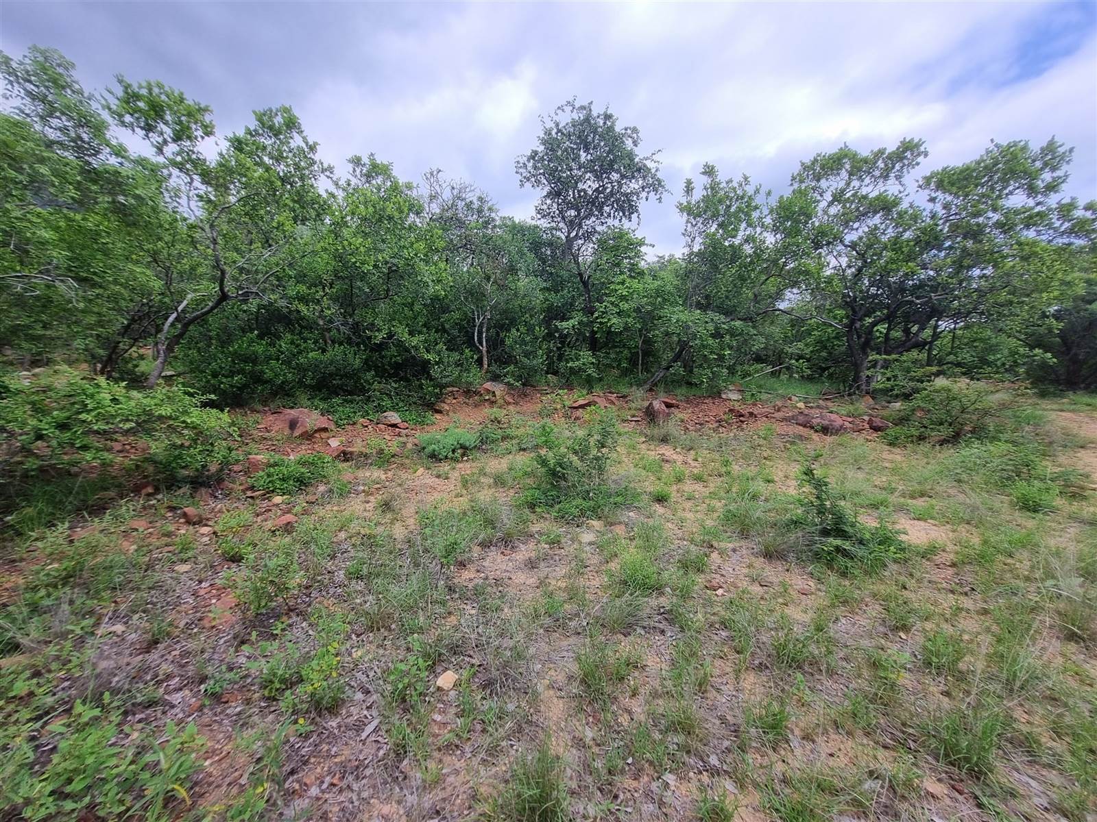 9077 m² Land available in Hoedspruit photo number 6