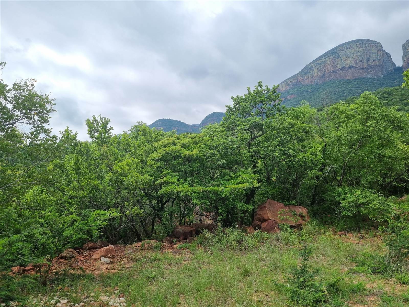 9077 m² Land available in Hoedspruit photo number 3