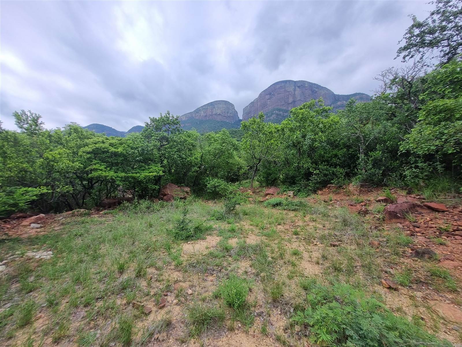 9077 m² Land available in Hoedspruit photo number 9