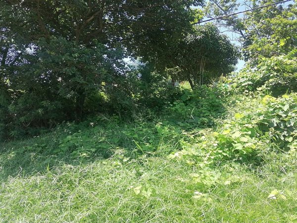 288 m² Land