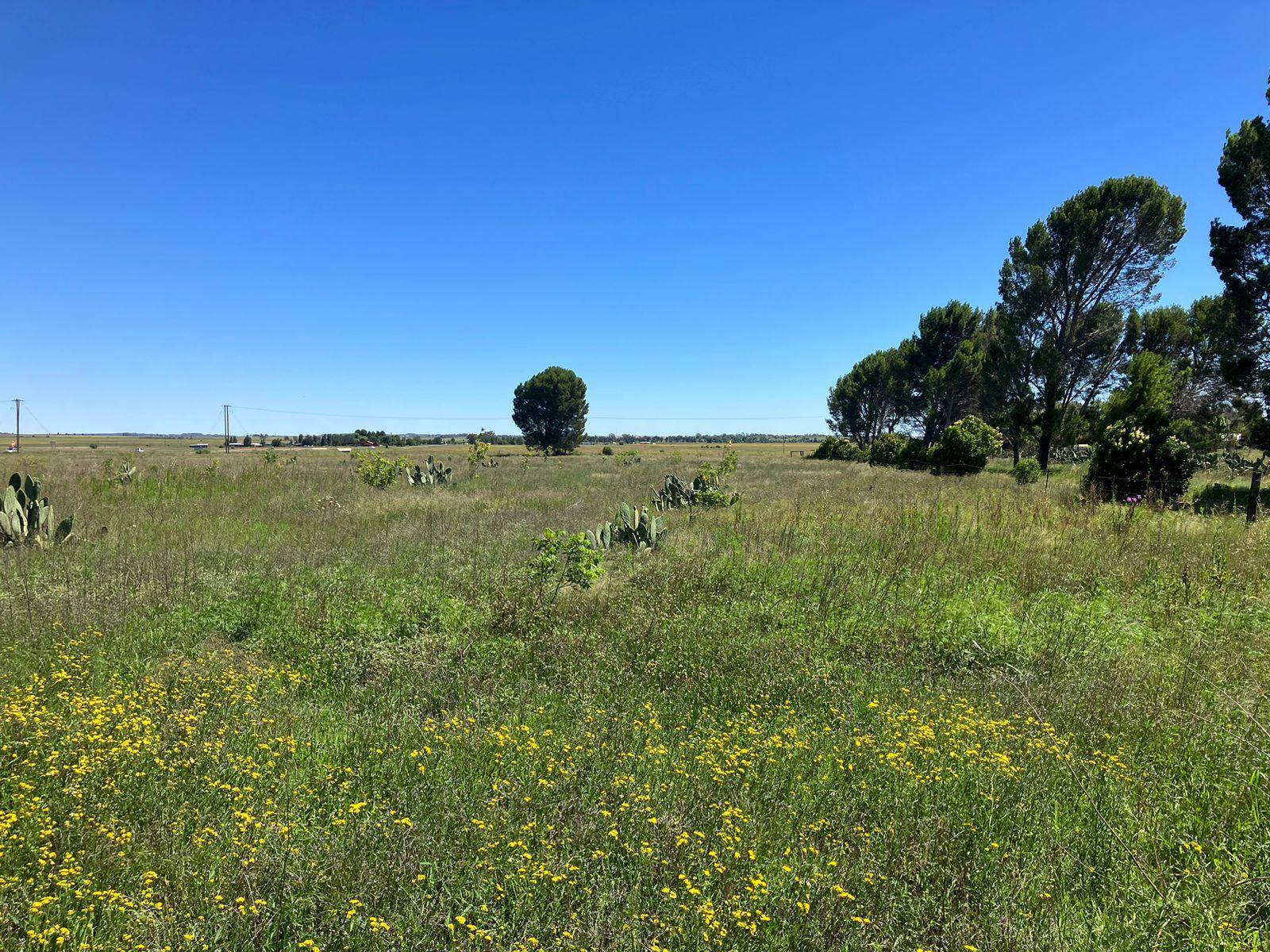 41 ha Farm in Bloemfontein Rural photo number 14