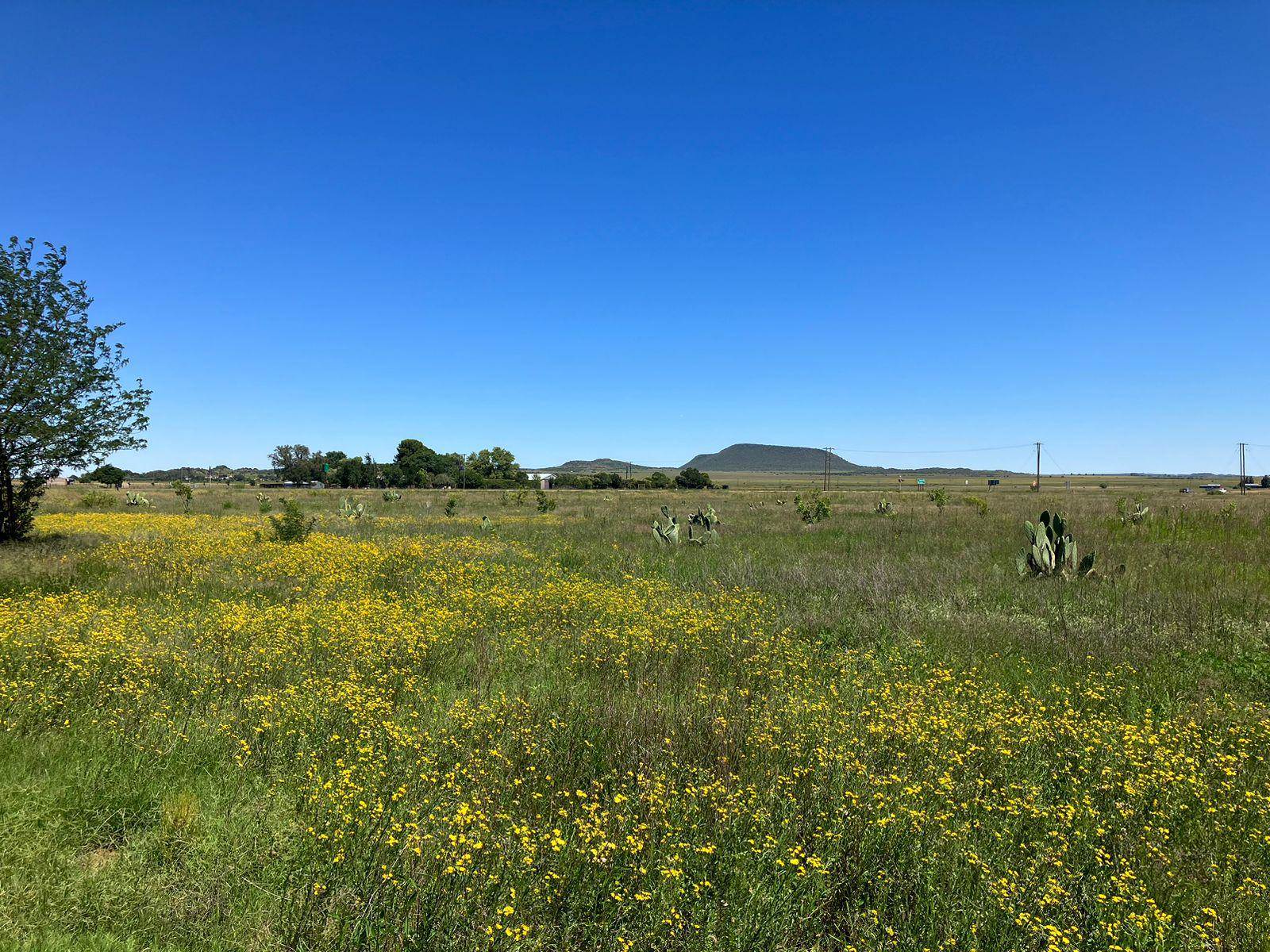 41 ha Farm in Bloemfontein Rural photo number 15