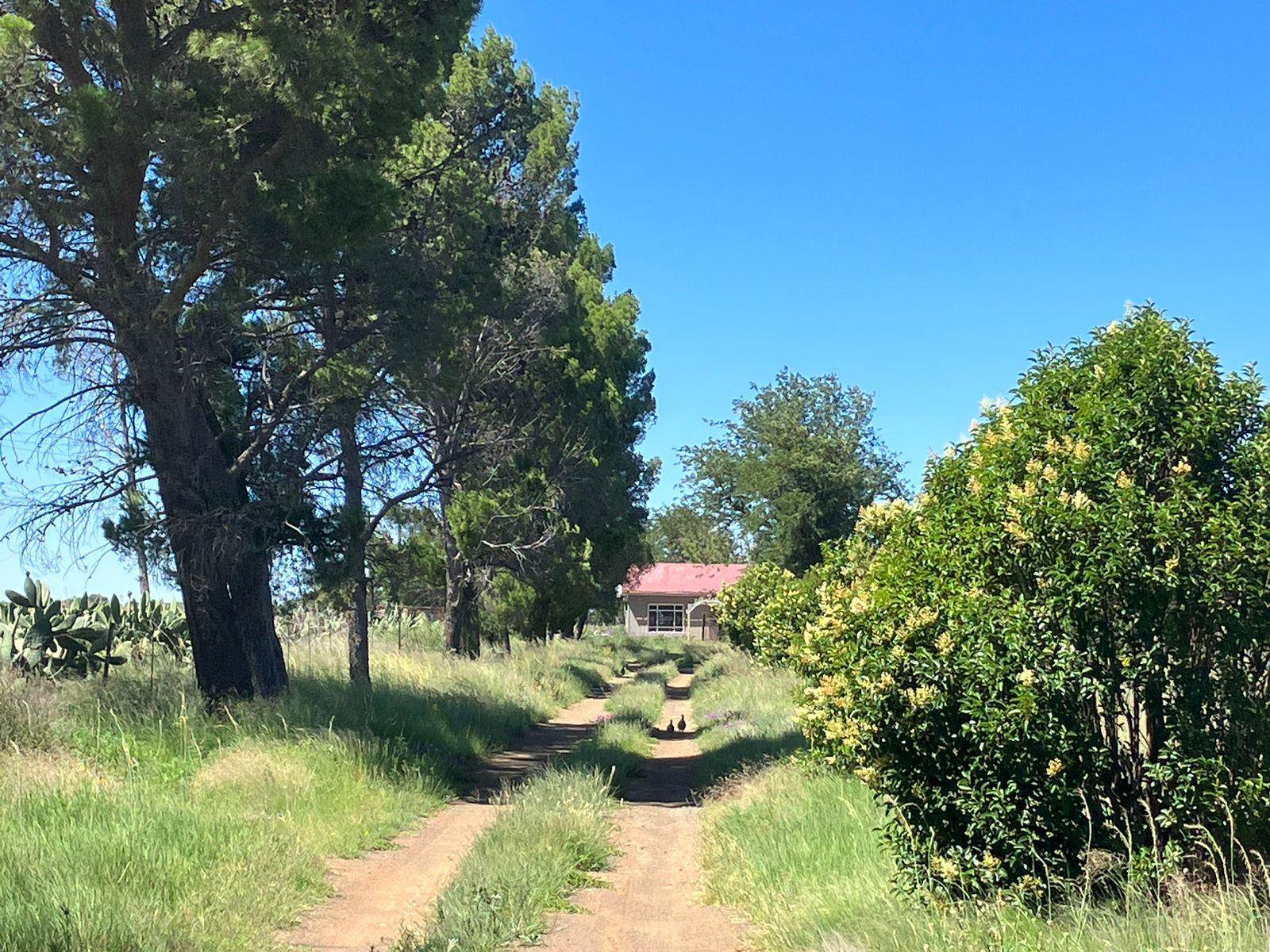 41 ha Farm in Bloemfontein Rural photo number 20