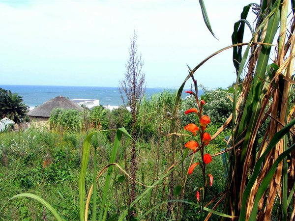 1305 m² Land available in Port Edward