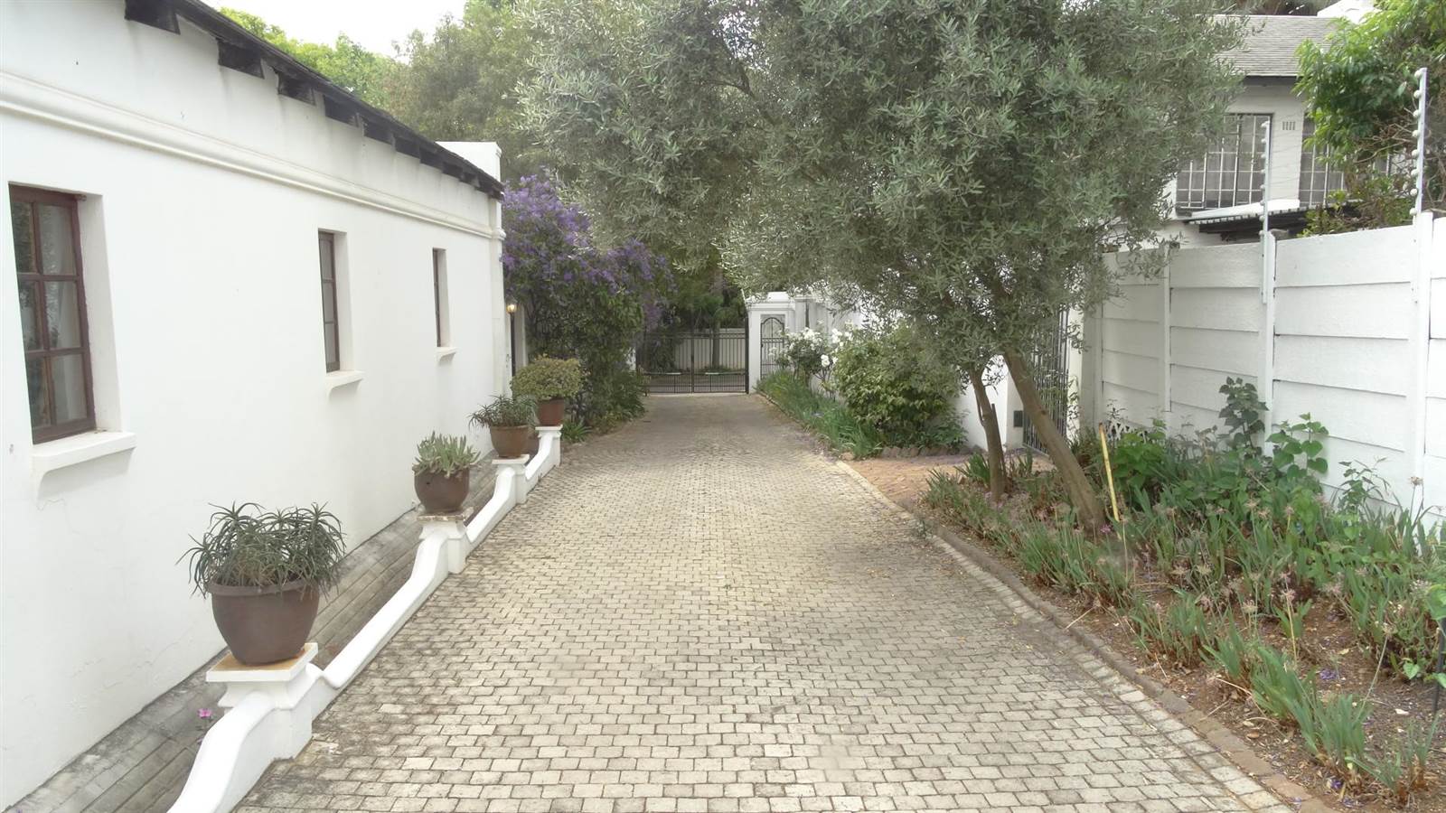 1081 m² Land available in Linden photo number 9