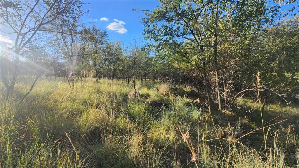 1067 m² Land available in Buffelspoort photo number 6