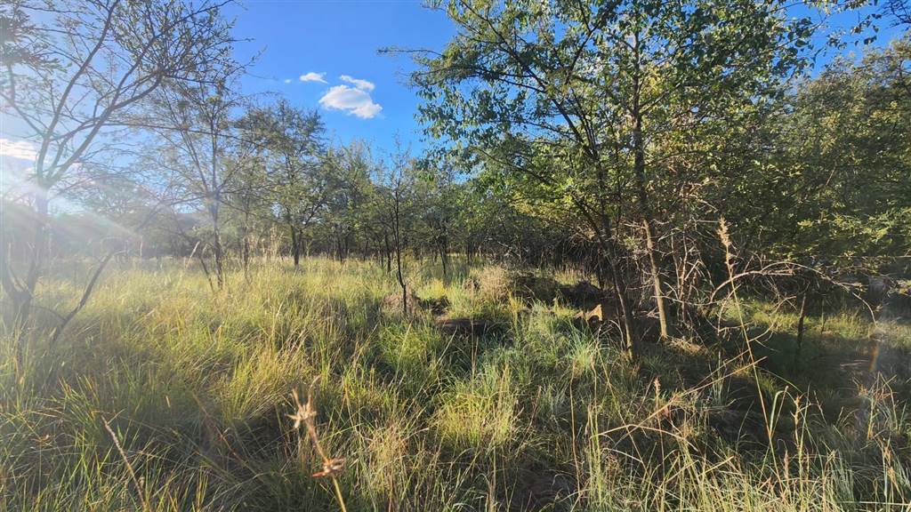 1067 m² Land available in Buffelspoort photo number 7