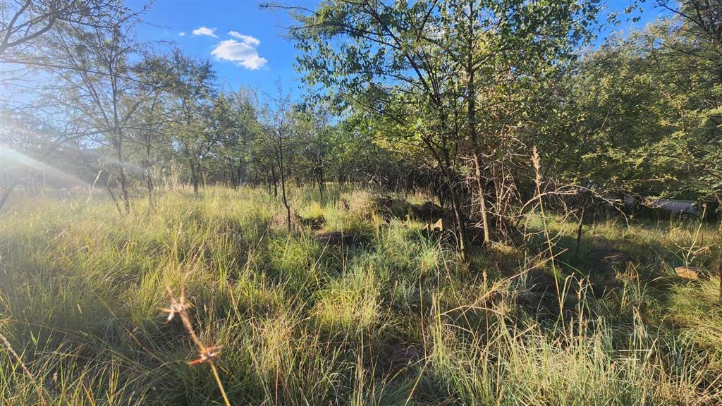 1067 m² Land available in Buffelspoort photo number 9