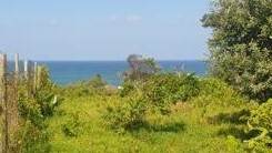 1592 m² Land available in Hibberdene photo number 3