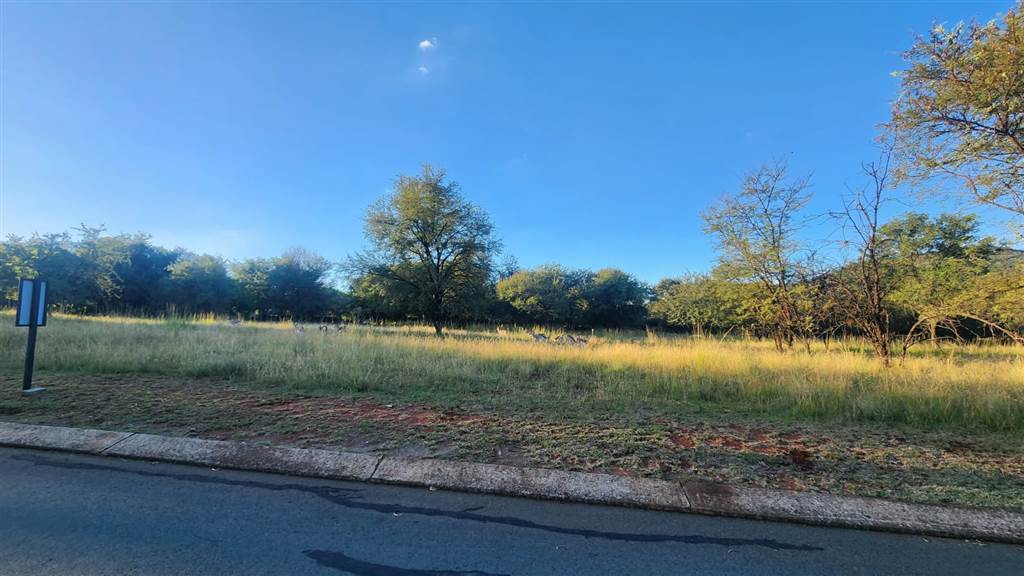 1280 m² Land available in Buffelspoort photo number 3
