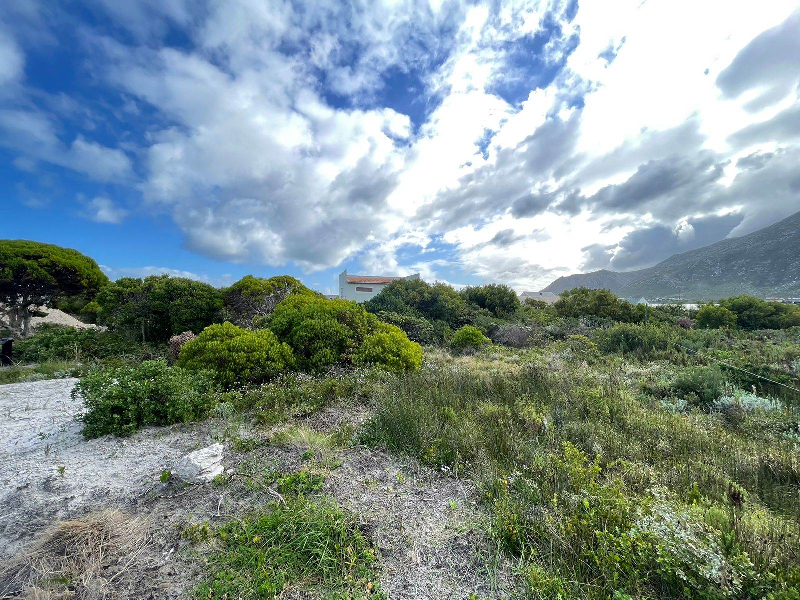 775 m² Land available in Bettys Bay photo number 4
