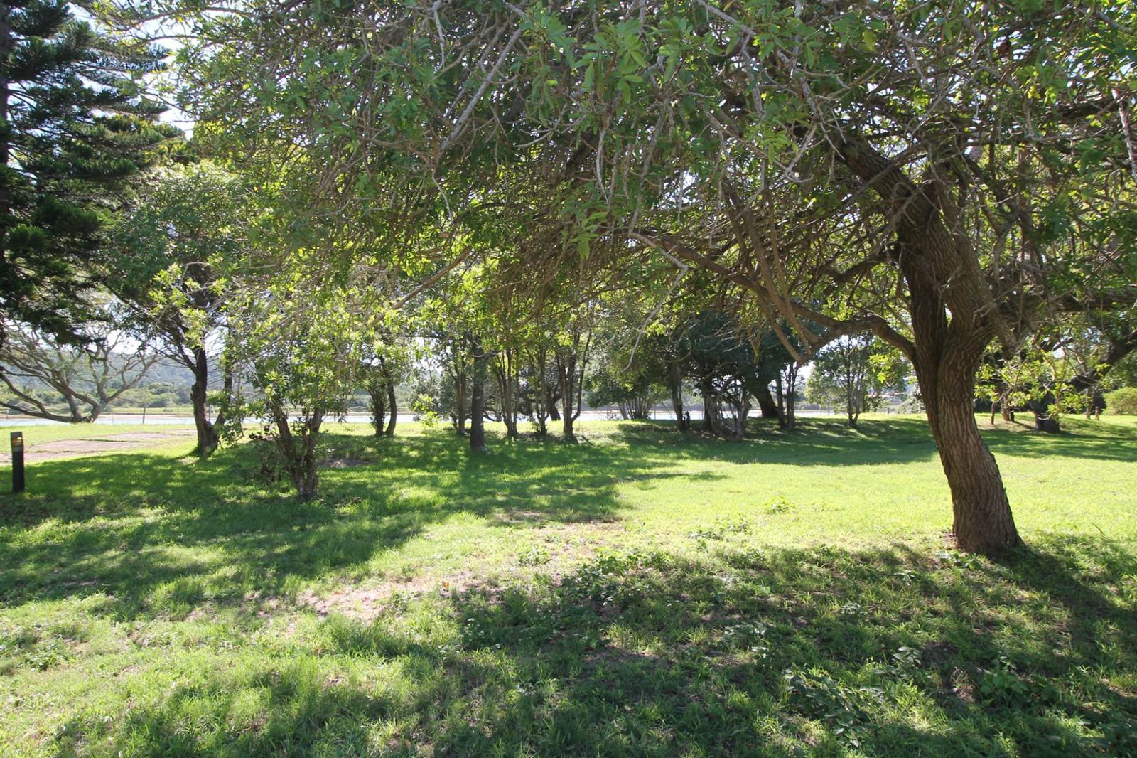959 m² Land available in Port Alfred photo number 5