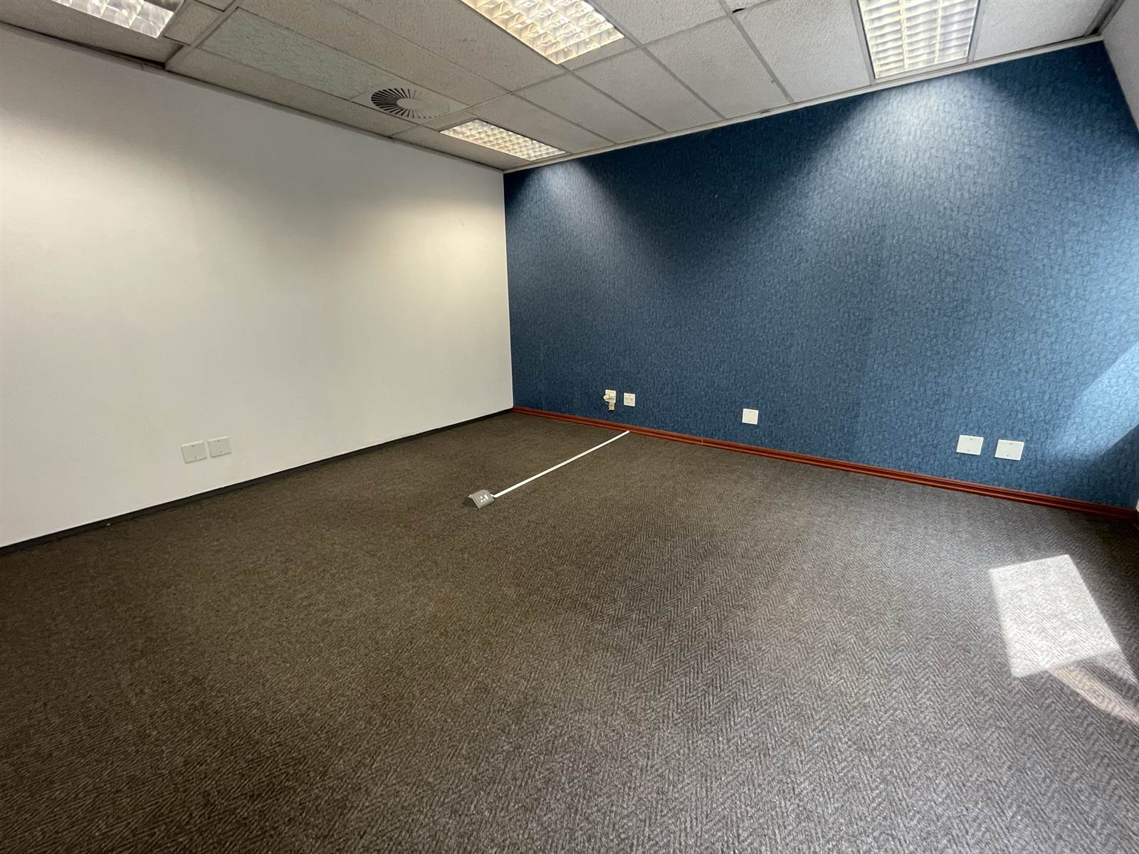 213  m² Commercial space in Killarney photo number 5