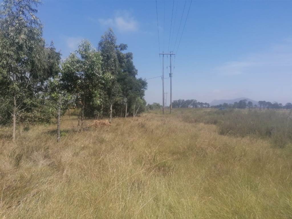 3.9 ha Land available in Gedults River photo number 2