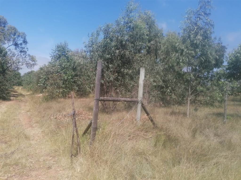 3.9 ha Land available in Gedults River photo number 3