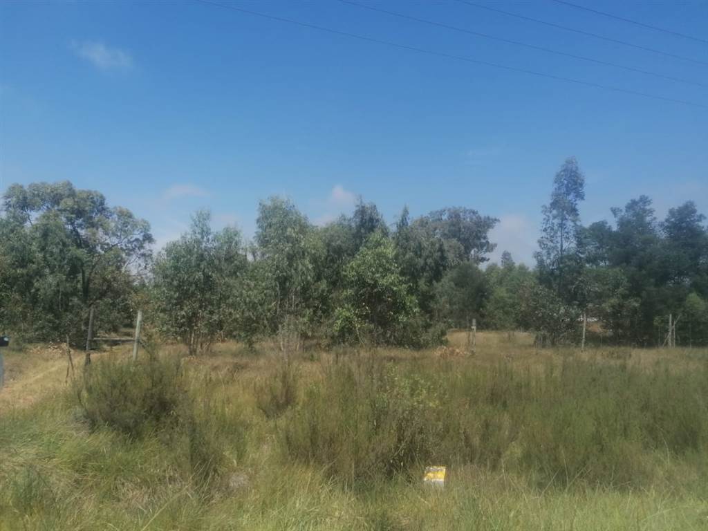 3.9 ha Land available in Gedults River photo number 6