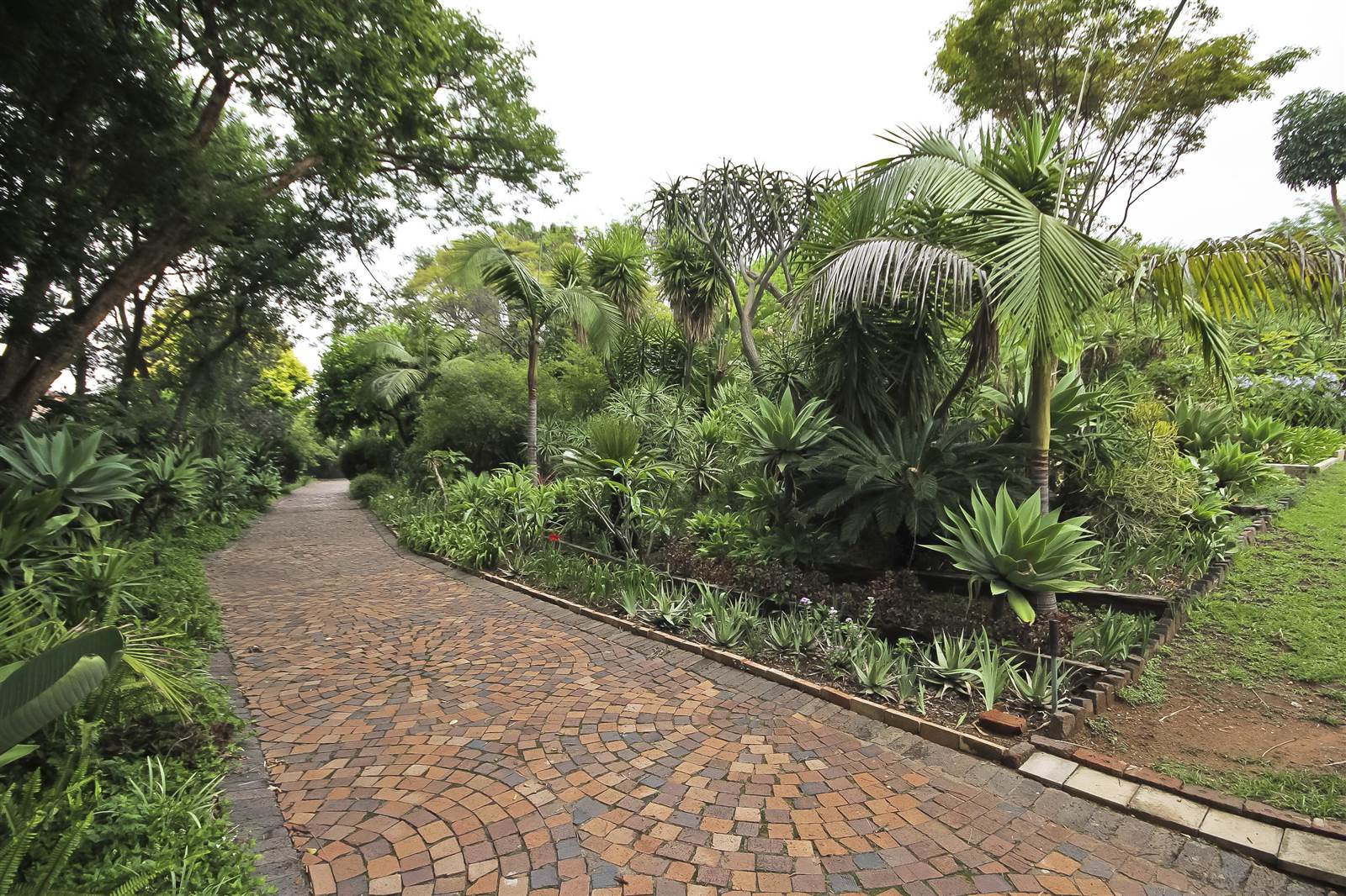 3000 m² Land available in Bryanston photo number 13