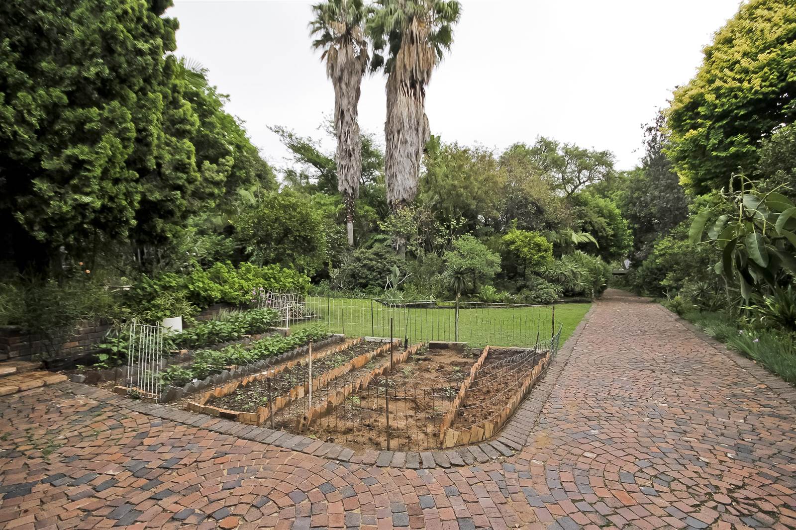 3000 m² Land available in Bryanston photo number 3