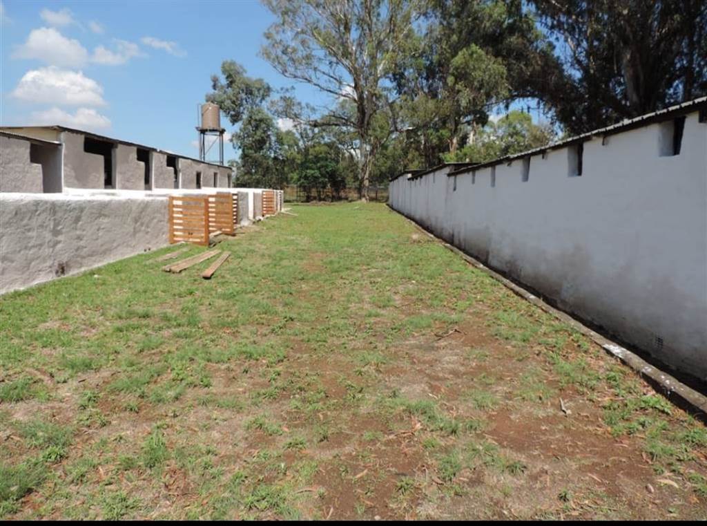 7 Bed House in Benoni CBD photo number 15