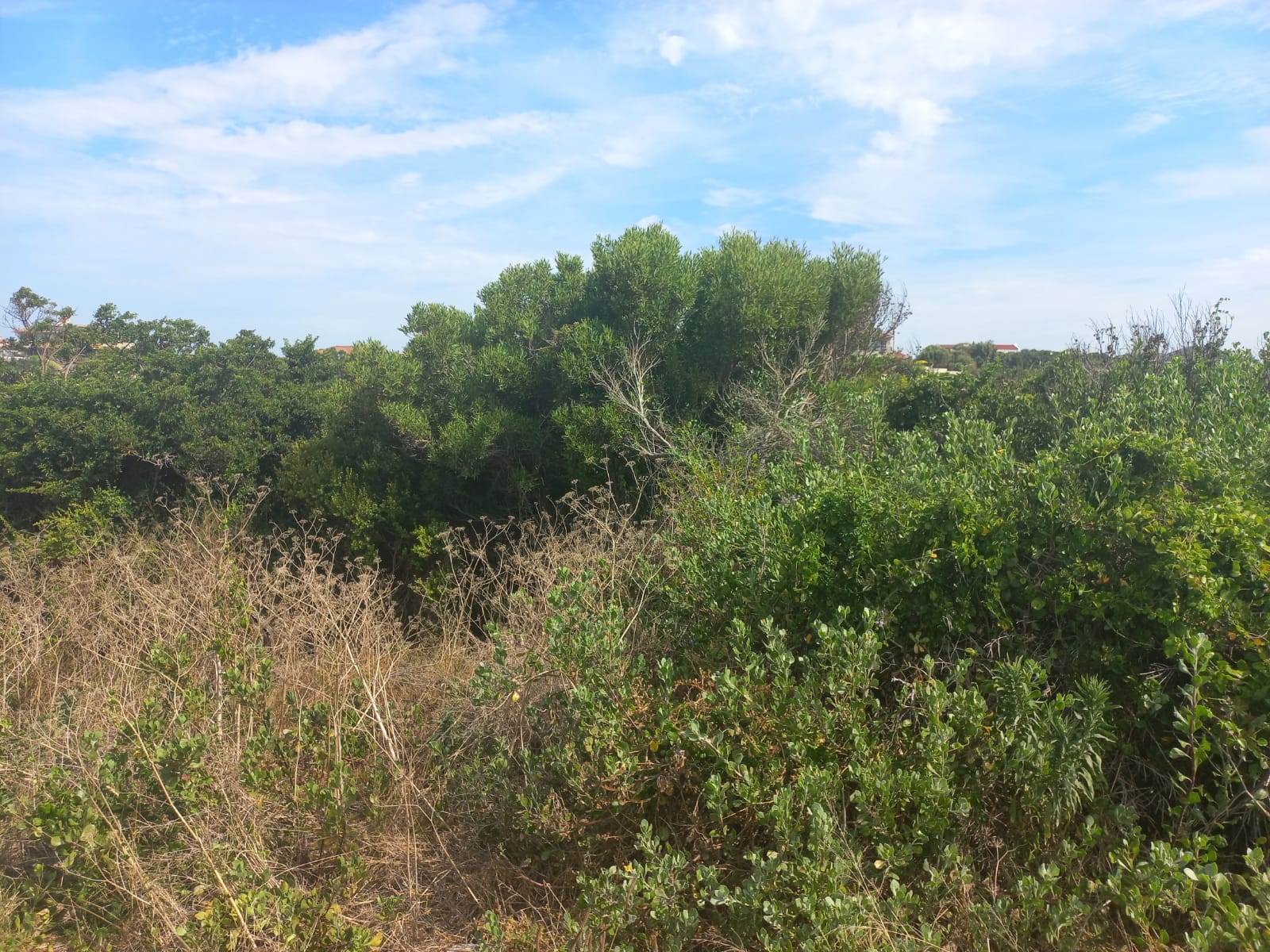 781 m² Land available in St Francis Bay photo number 2