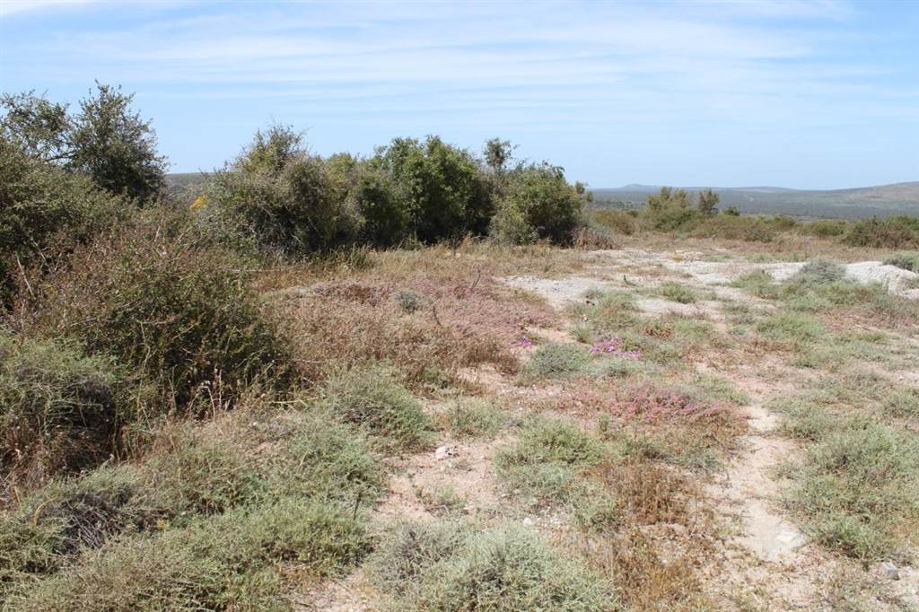 1631 m² Land available in Myburgh Park photo number 4
