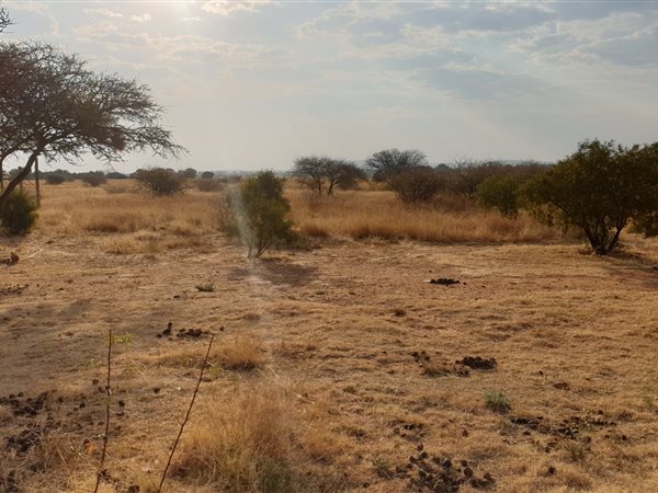 7.8 ha Land available in Ferreira