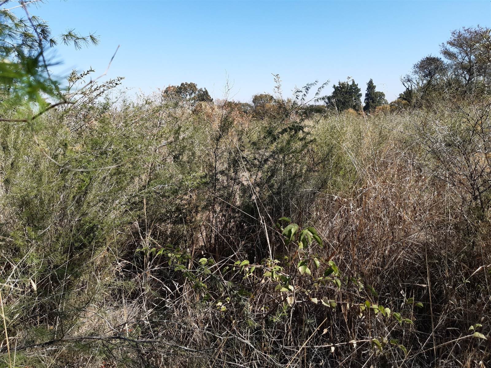 908 m² Land available in Parys Golf Estate photo number 3