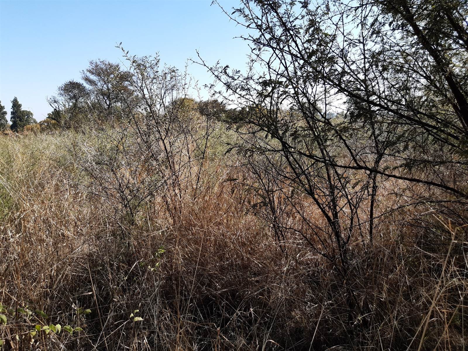 908 m² Land available in Parys Golf Estate photo number 2