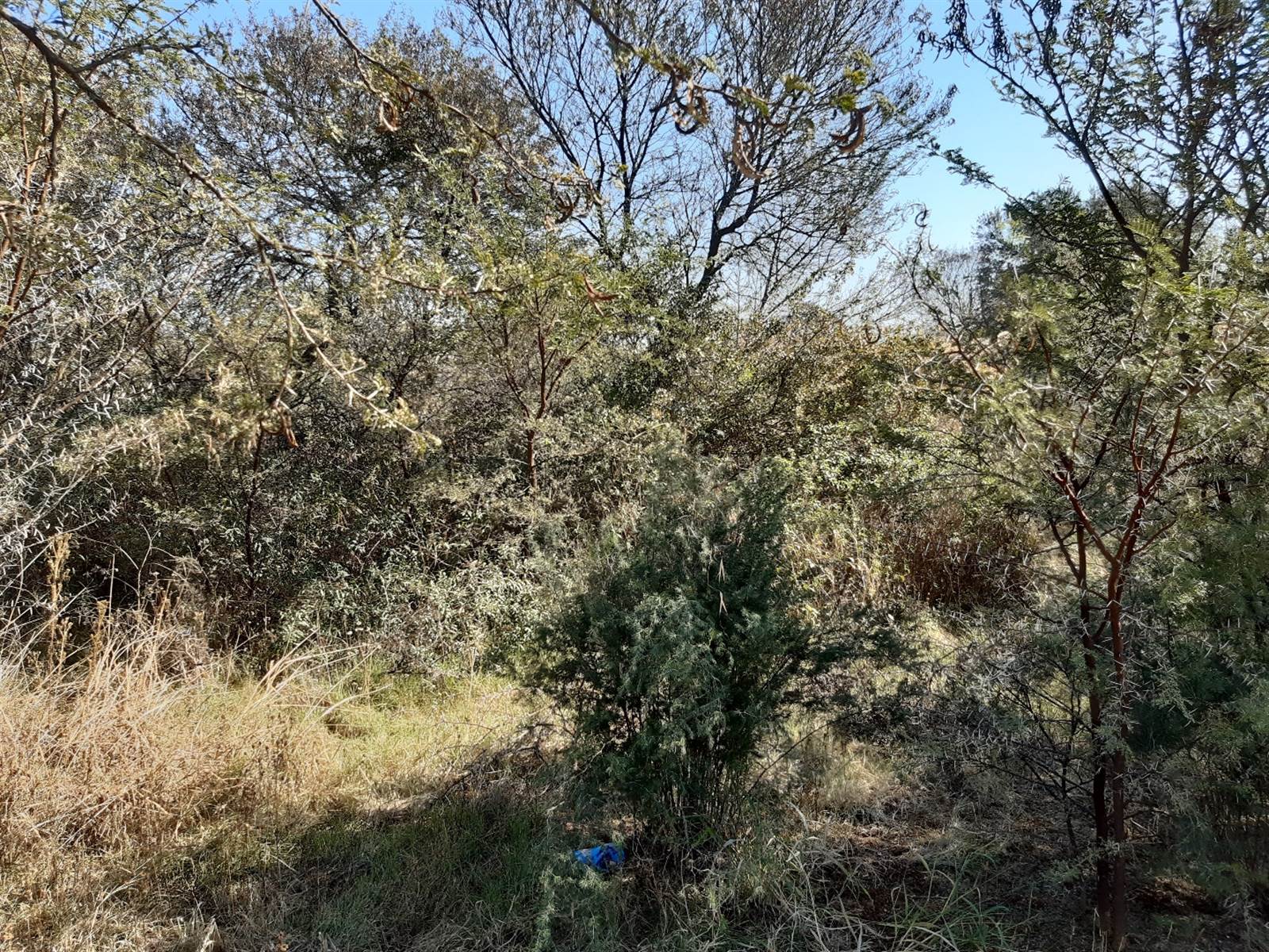 908 m² Land available in Parys Golf Estate photo number 8