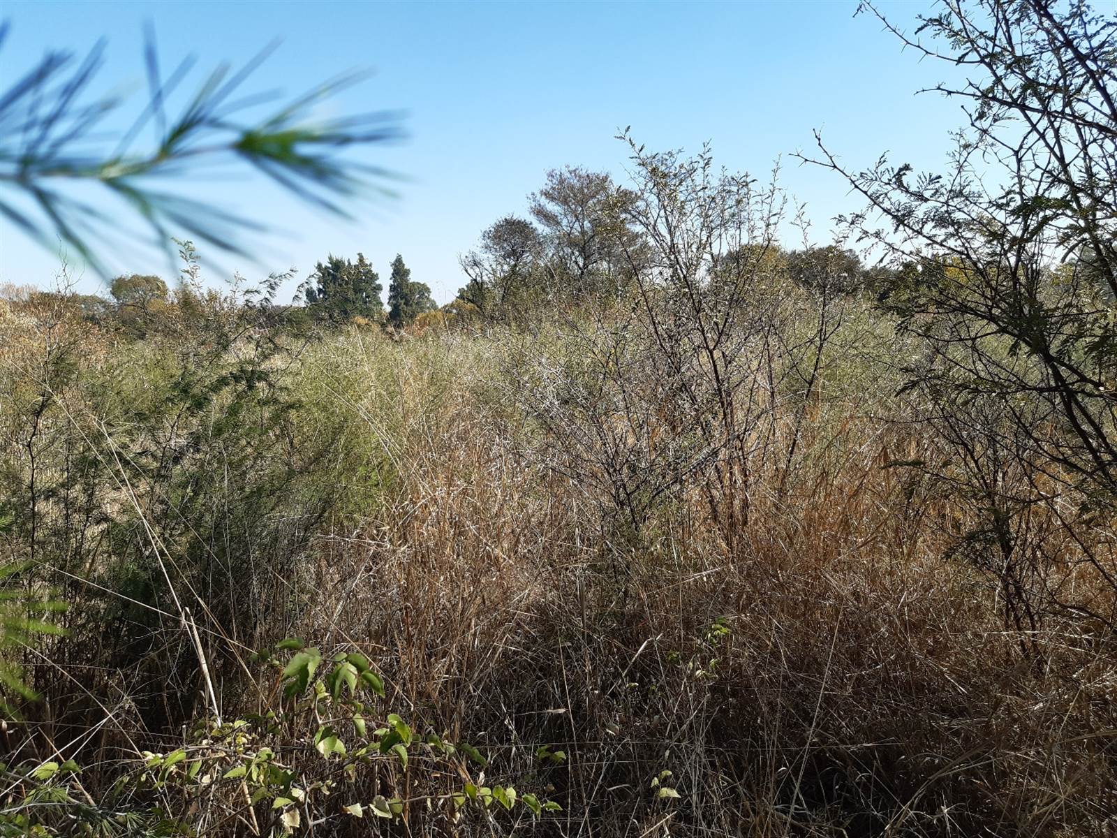908 m² Land available in Parys Golf Estate photo number 1