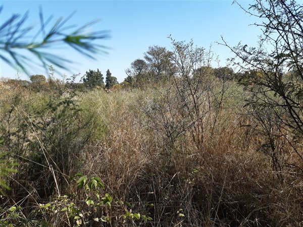 908 m² Land available in Parys Golf Estate