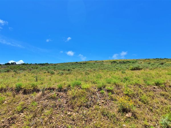 1 503 m² Land