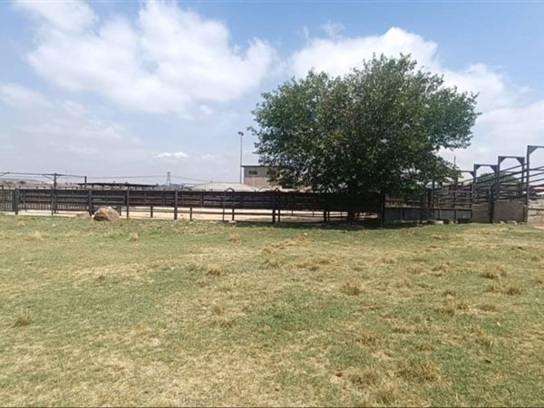 10 ha Farm 10 ha Farm