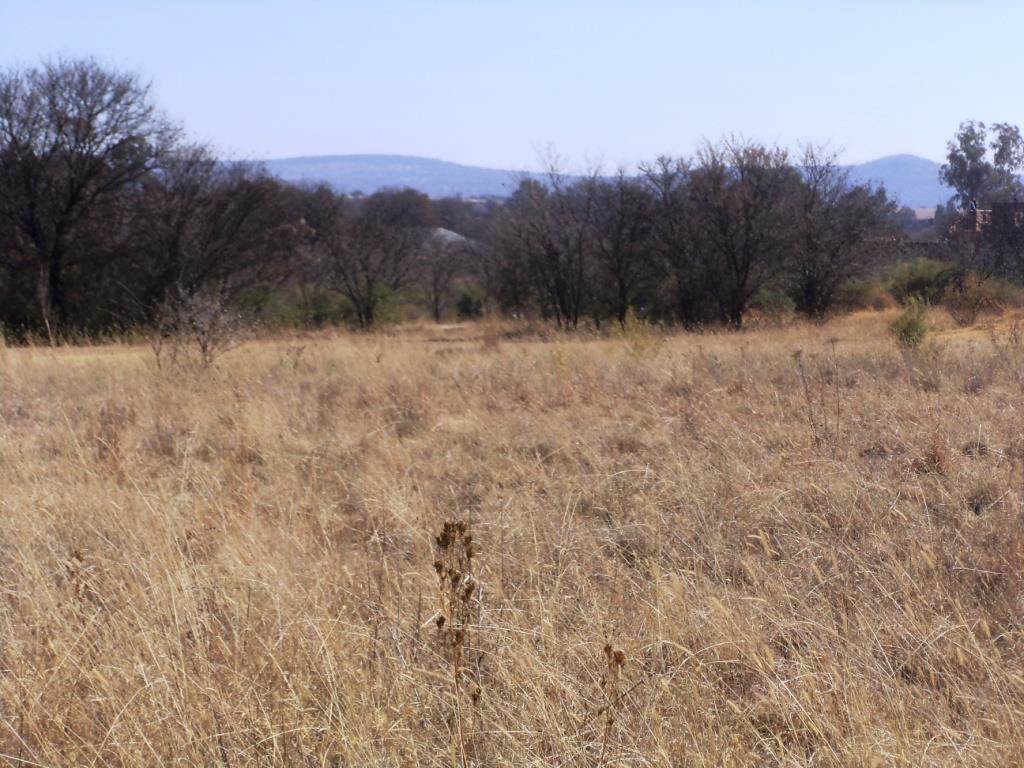 800 m² Land available in Parys Golf Estate photo number 14