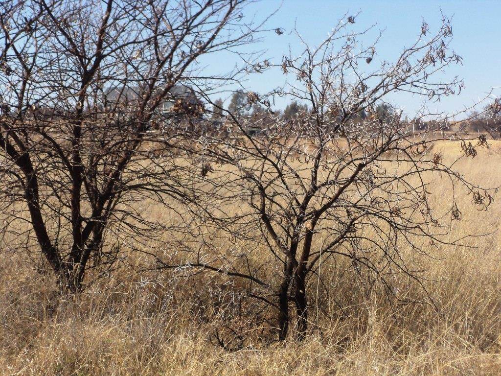 800 m² Land available in Parys Golf Estate photo number 12
