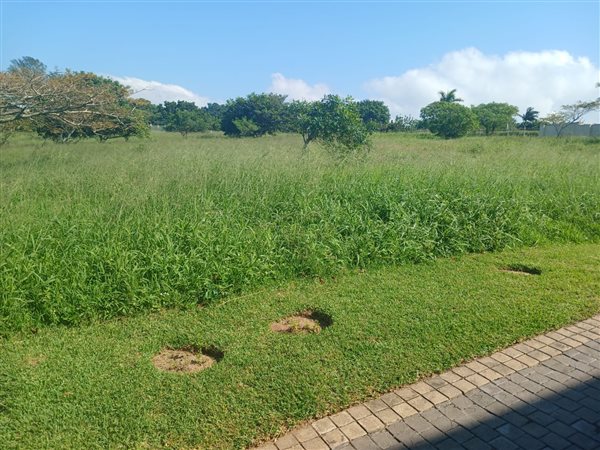 1 164 m² Land