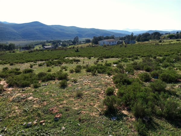 4 300 m² Smallholding