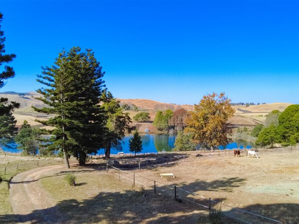 20.3 ha Smallholding