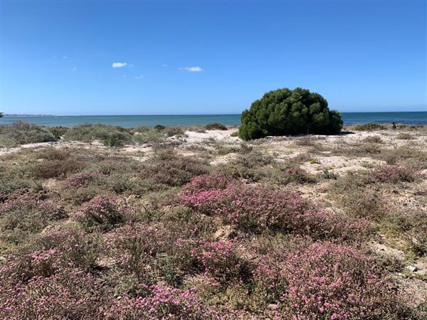 602 m² Land available in Sandy Point