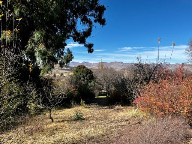 2521 m² Land available in Clarens photo number 6