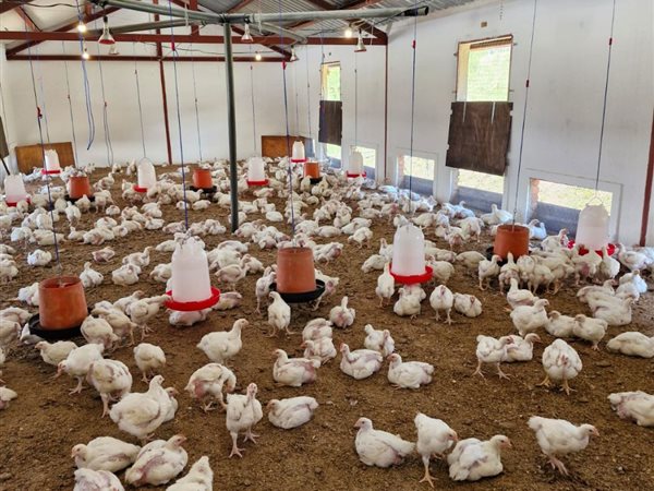 65.7 ha Farm